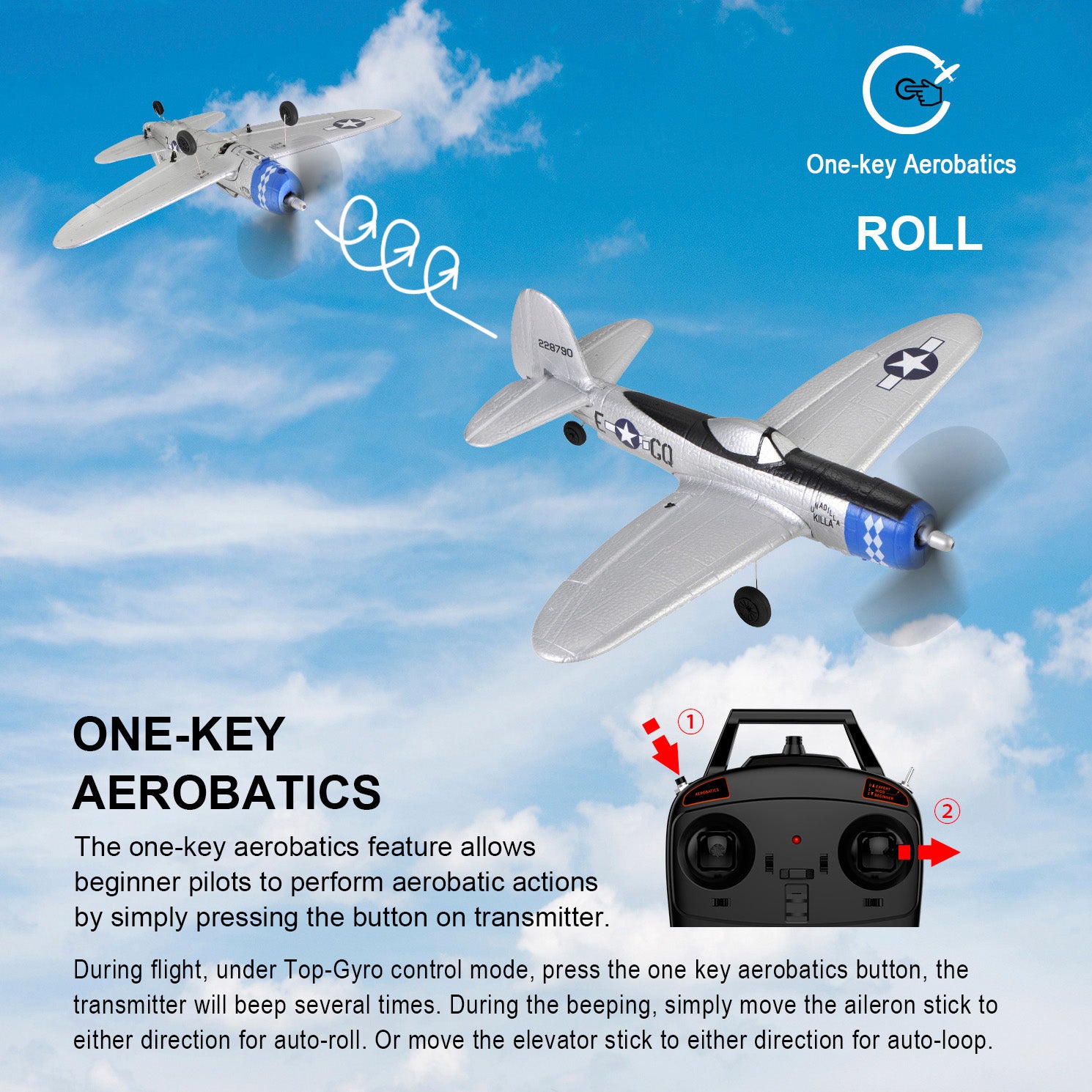 Rc deals plane 2