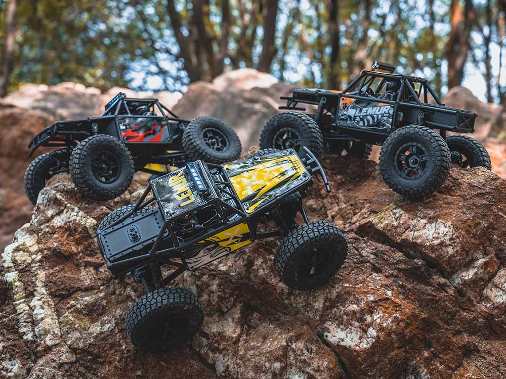 FMS 1:24 FCX24 Lemur RTR